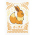 Чоловіча футболка «Pokémon Eevee»