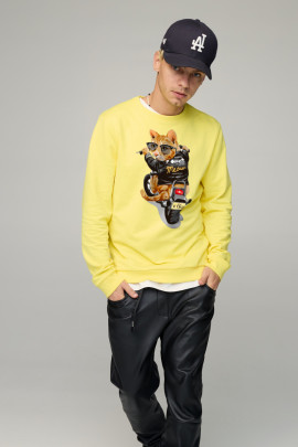 Світшот чоловічий BASIC /no flis/