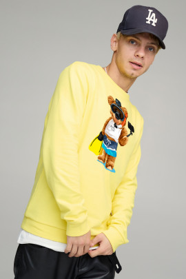 Світшот чоловічий BASIC /no flis/