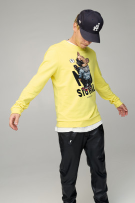 Світшот чоловічий BASIC /no flis/