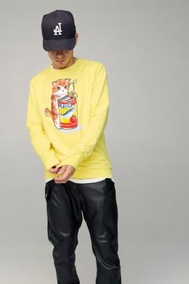 Світшот чоловічий BASIC /no flis/