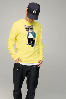 Світшот чоловічий BASIC /no flis/