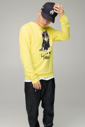 Світшот чоловічий BASIC /no flis/