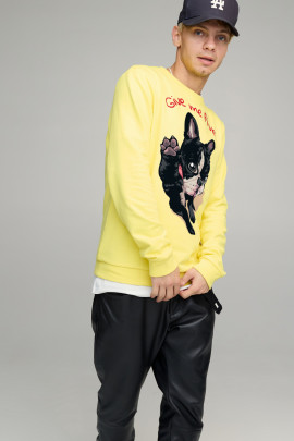 Світшот чоловічий BASIC /no flis/