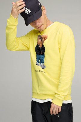 Світшот чоловічий BASIC /no flis/