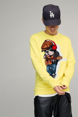 Світшот чоловічий BASIC /no flis/