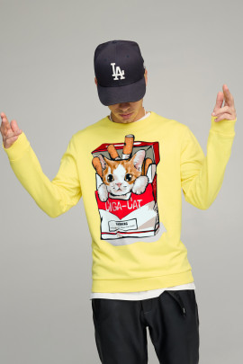 Світшот чоловічий BASIC /no flis/