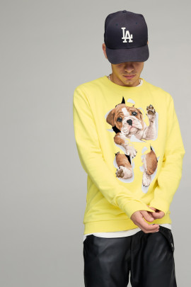 Світшот чоловічий BASIC /no flis/