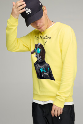 Свитшот мужской BASIC /no flis/