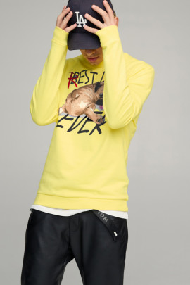 Свитшот мужской BASIC /no flis/