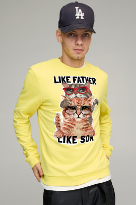 Свитшот мужской BASIC /no flis/