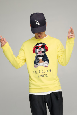 Свитшот мужской BASIC /no flis/