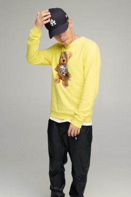 Свитшот мужской BASIC /no flis/