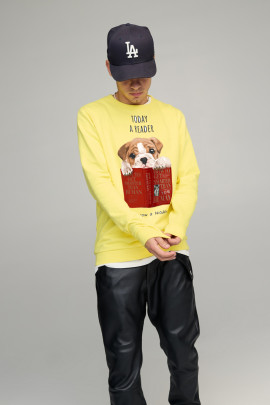 Свитшот мужской BASIC /no flis/