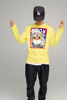 Свитшот мужской BASIC /no flis/