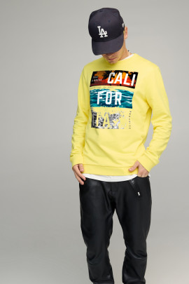 Свитшот мужской BASIC /no flis/