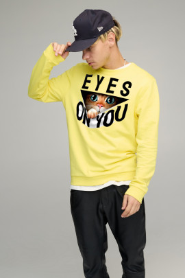 Свитшот мужской BASIC /no flis/