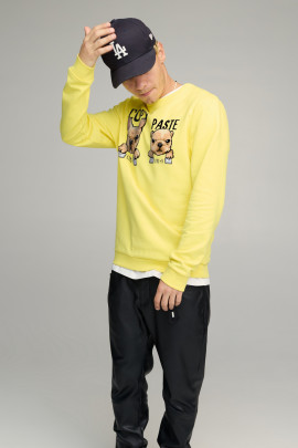 Свитшот мужской BASIC /no flis/