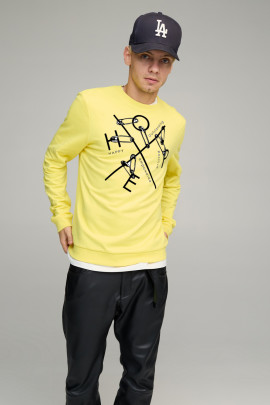 Свитшот мужской BASIC /no flis/