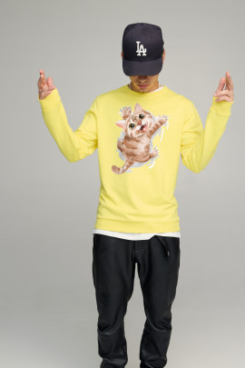 Свитшот мужской BASIC /no flis/