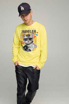 Свитшот мужской BASIC /no flis/