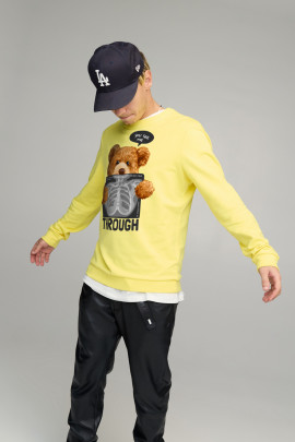 Свитшот мужской BASIC /no flis/