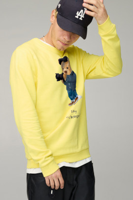 Свитшот мужской BASIC /no flis/