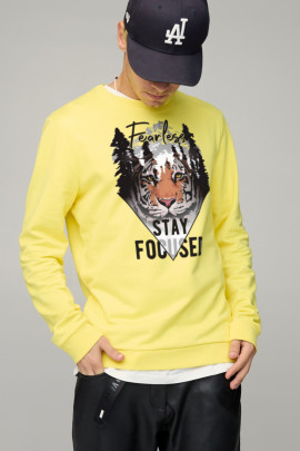 Свитшот мужской BASIC /no flis/