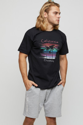 Футболка чоловіча basic 