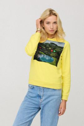 Світшот жіночій з принтом basic  /no flis/ 