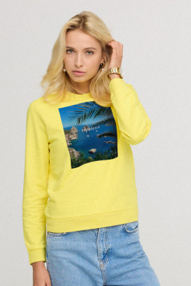 Світшот жіночій з принтом basic  /no flis/ 