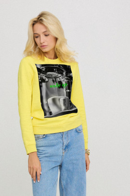 Світшот жіночій з принтом basic  /no flis/ 