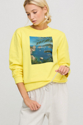 Світшот жіночій з принтом оверсайз  /no flis/ 