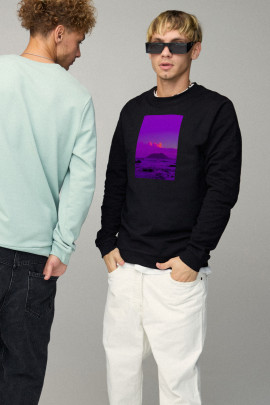 Світшот чоловічий BASIC /no flis/