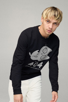 Світшот чоловічий BASIC /no flis/