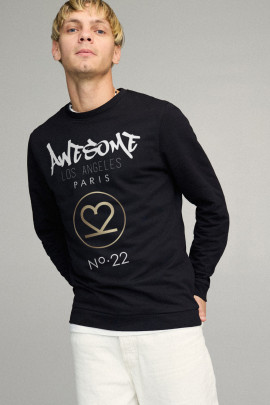 Світшот чоловічий BASIC /no flis/