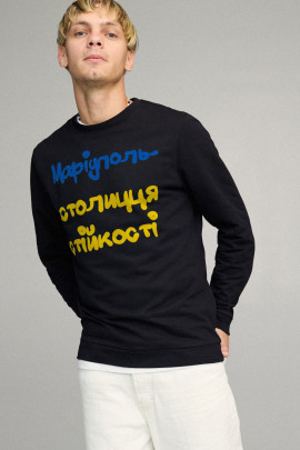 Світшот чоловічий BASIC /no flis/