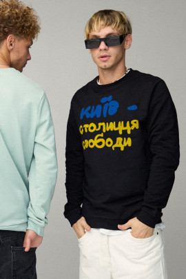 Світшот чоловічий BASIC /no flis/