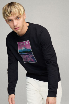 Світшот чоловічий BASIC /no flis/