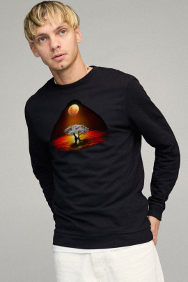 Світшот чоловічий BASIC /no flis/