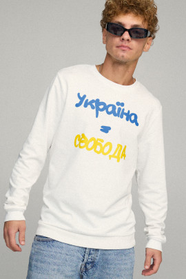 Світшот чоловічий BASIC /no flis/