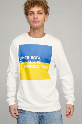 Світшот чоловічий BASIC /no flis/