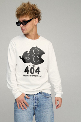 Світшот чоловічий BASIC /no flis/