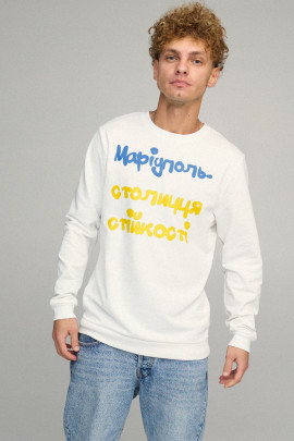 Світшот чоловічий BASIC /no flis/