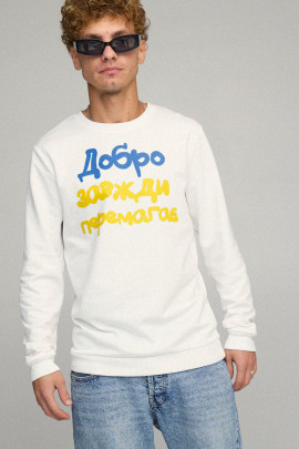 Світшот чоловічий BASIC /no flis/