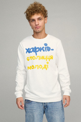 Світшот чоловічий BASIC /no flis/