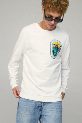 Світшот чоловічий BASIC /no flis/