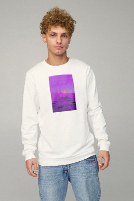 Світшот чоловічий BASIC /no flis/