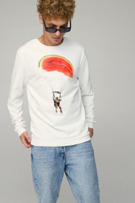 Світшот чоловічий BASIC /no flis/