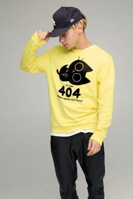 Світшот чоловічий BASIC /no flis/